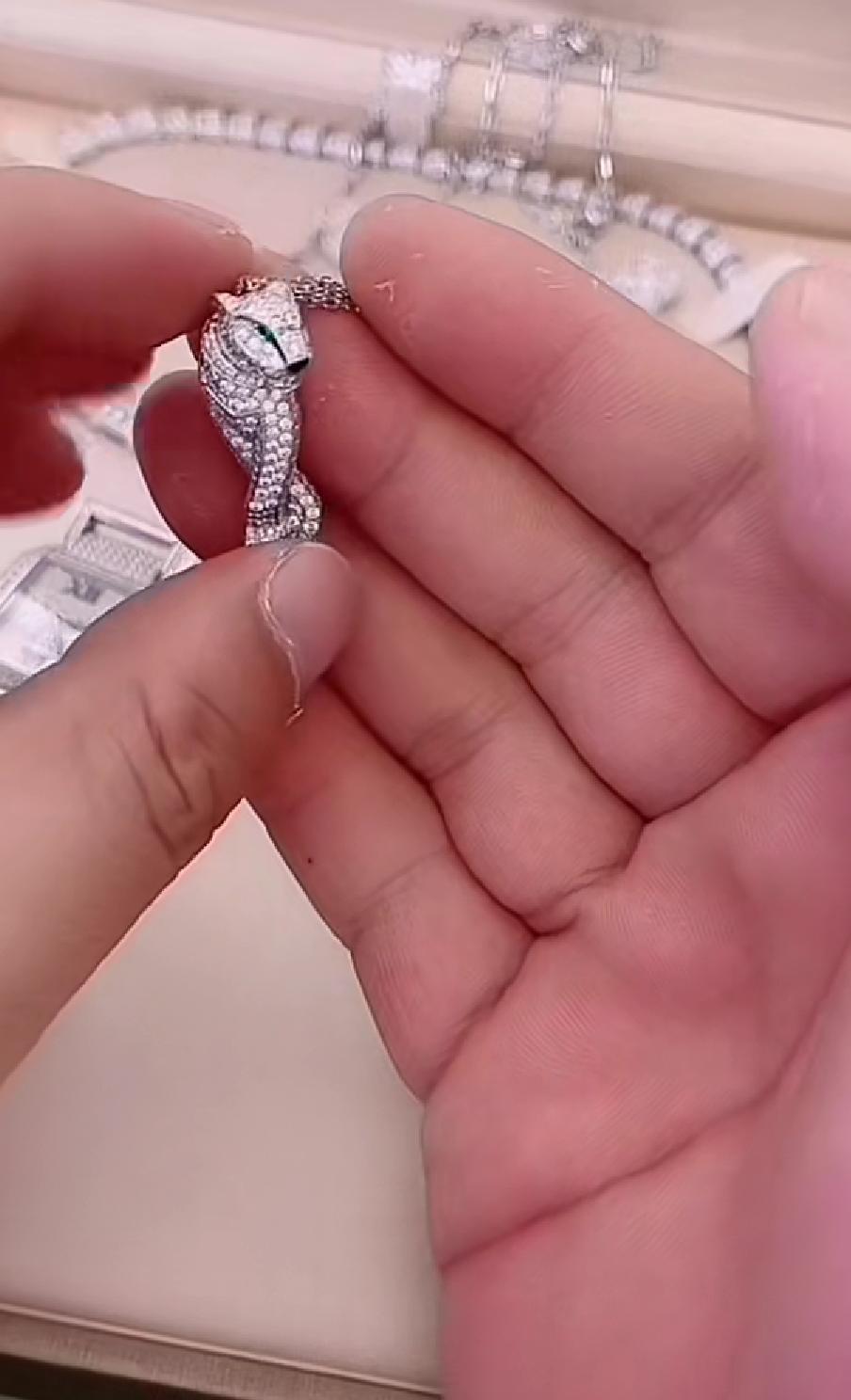 二驴炫富网红事件,二驴冰箱炫富视频