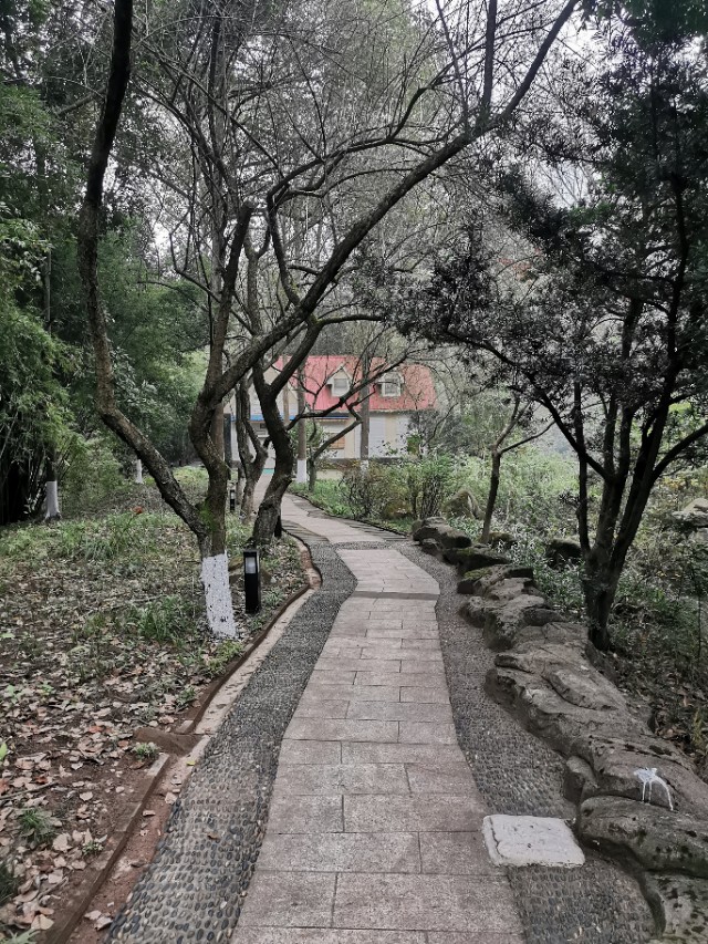 江东旅游景点推荐攻略,重庆温泉之都统景温泉