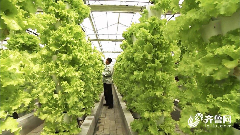 农贸市场食品安全公示栏,2020年食品安全示范城市名单