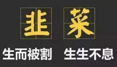 中国股市不挣钱的原因,中国股民为什么难盈利