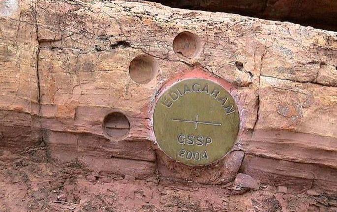 沈树忠简介,沈树忠浙江讲座