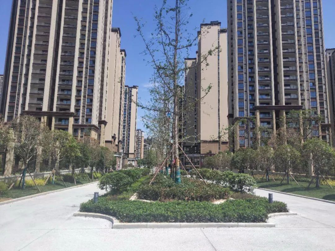 绵阳长兴星城最新视频,2019长兴星城二期价格