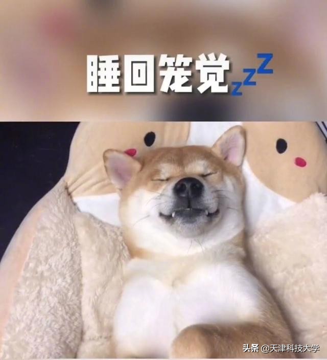 大学生生活真实案例,大学生真实生活实录