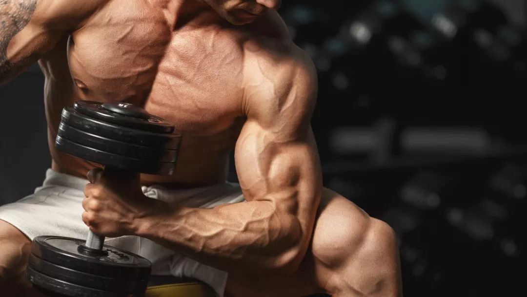 健身人群吃什么粉,新手健身选择什么蛋白粉最好