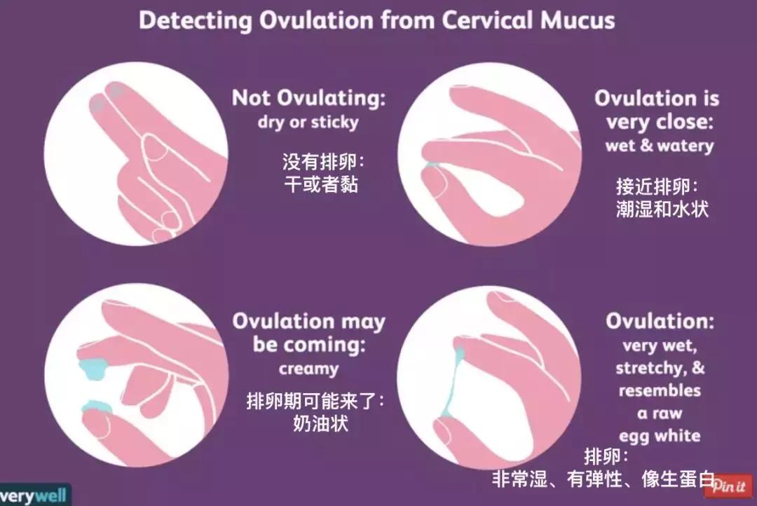 女性排卵期有什么症状表现和感觉,排卵期过后着床会有什么表现