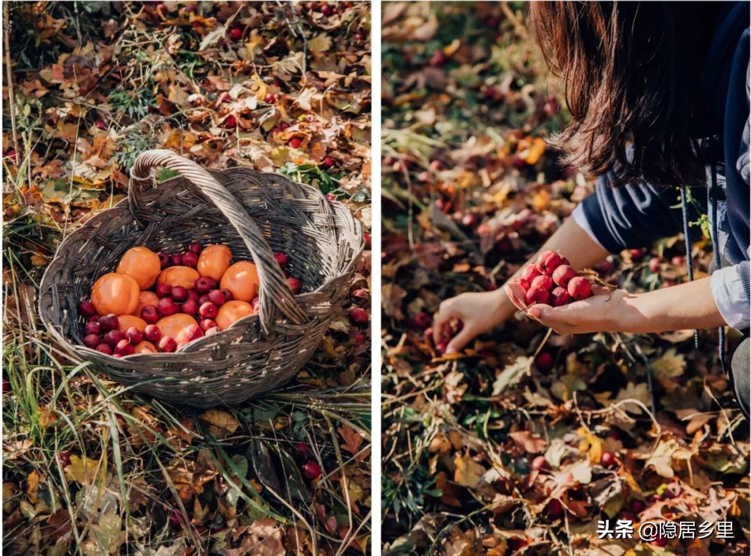 看皮影大戏逛美食大集,农村看大戏赶大集