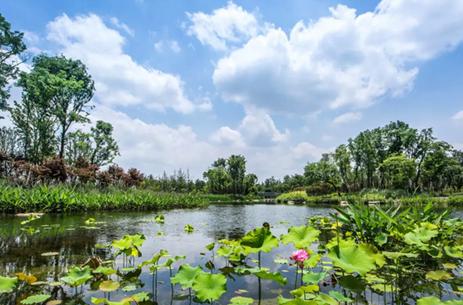 鍚堣偉榫欐箹4.0鏃朵唬,鍏洯浜哄眳鍥炲綊鑷劧