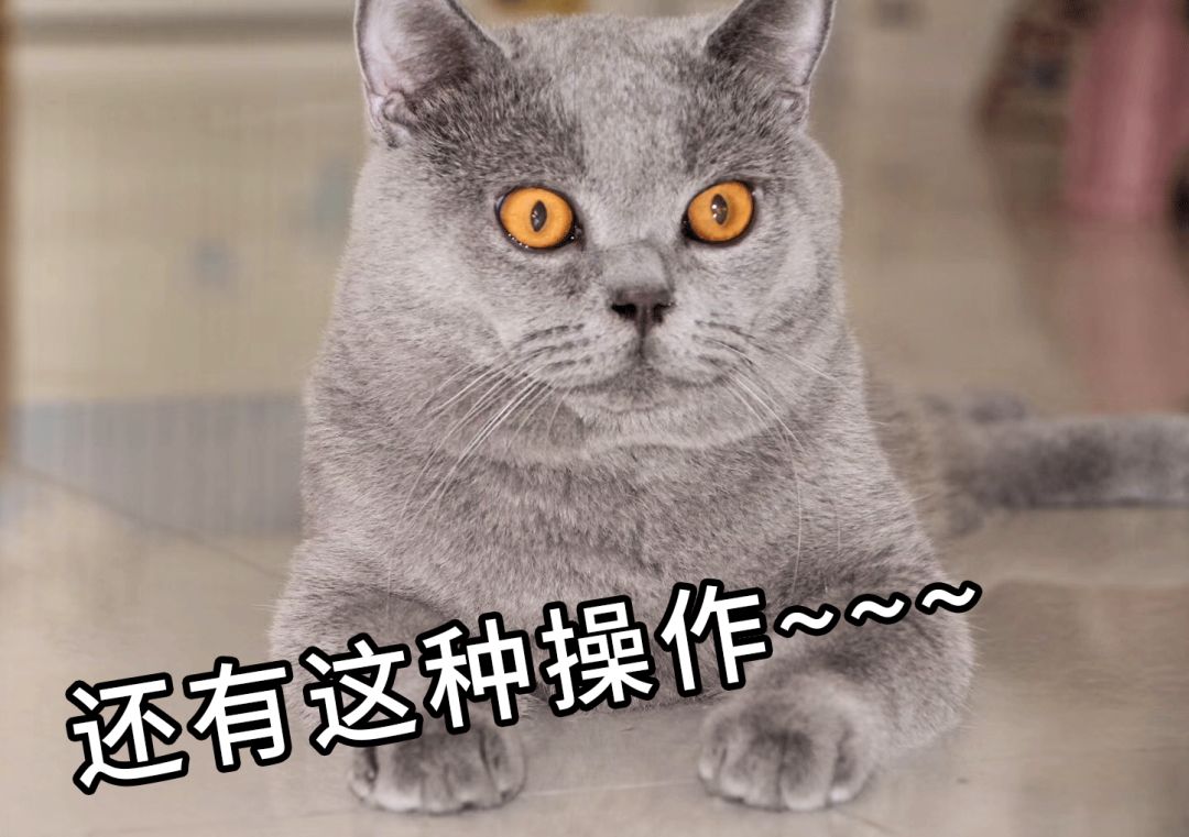 新手买基金怎么规避风险,怎么规避老鼠仓