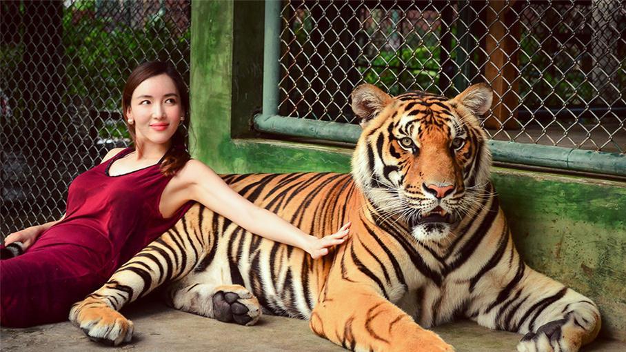 小学课本杀掉狼的故事,小学语文课本杀虎的叫什么