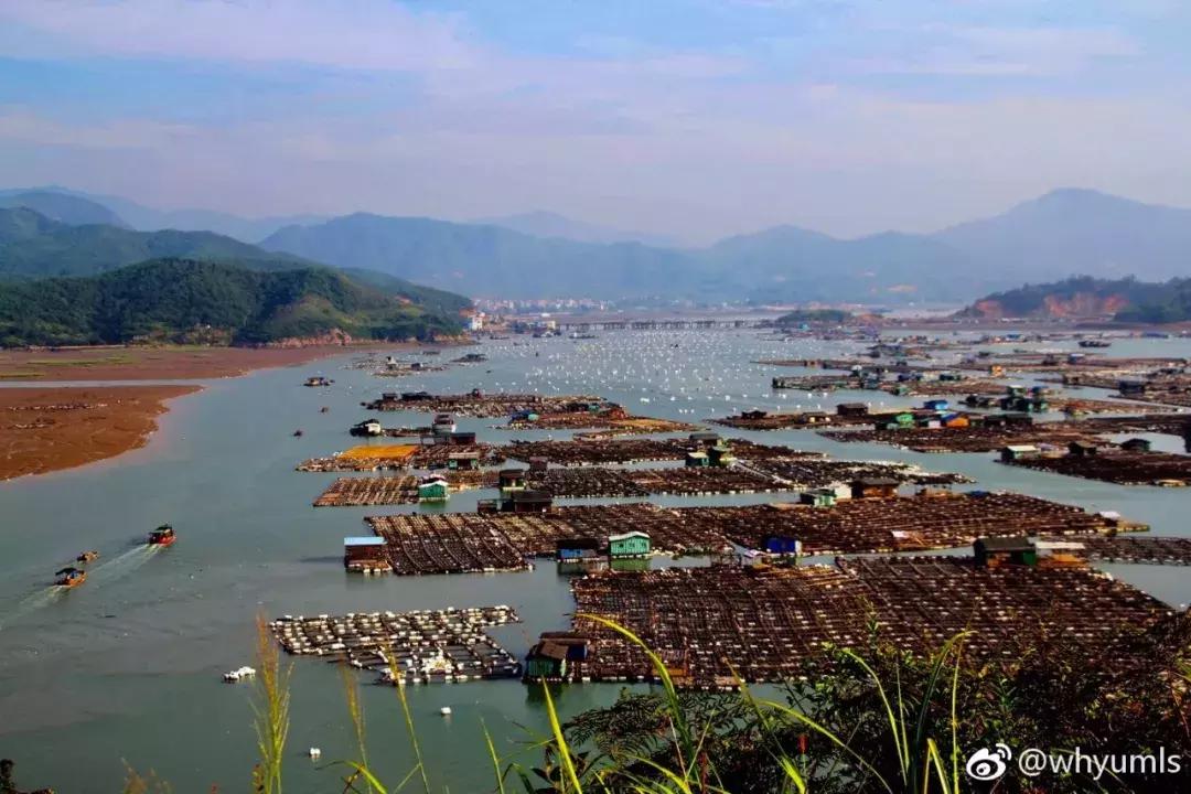 这么一片五彩滩涂奇幻仙境，超惊艳！在福建，厦门动车可以直达