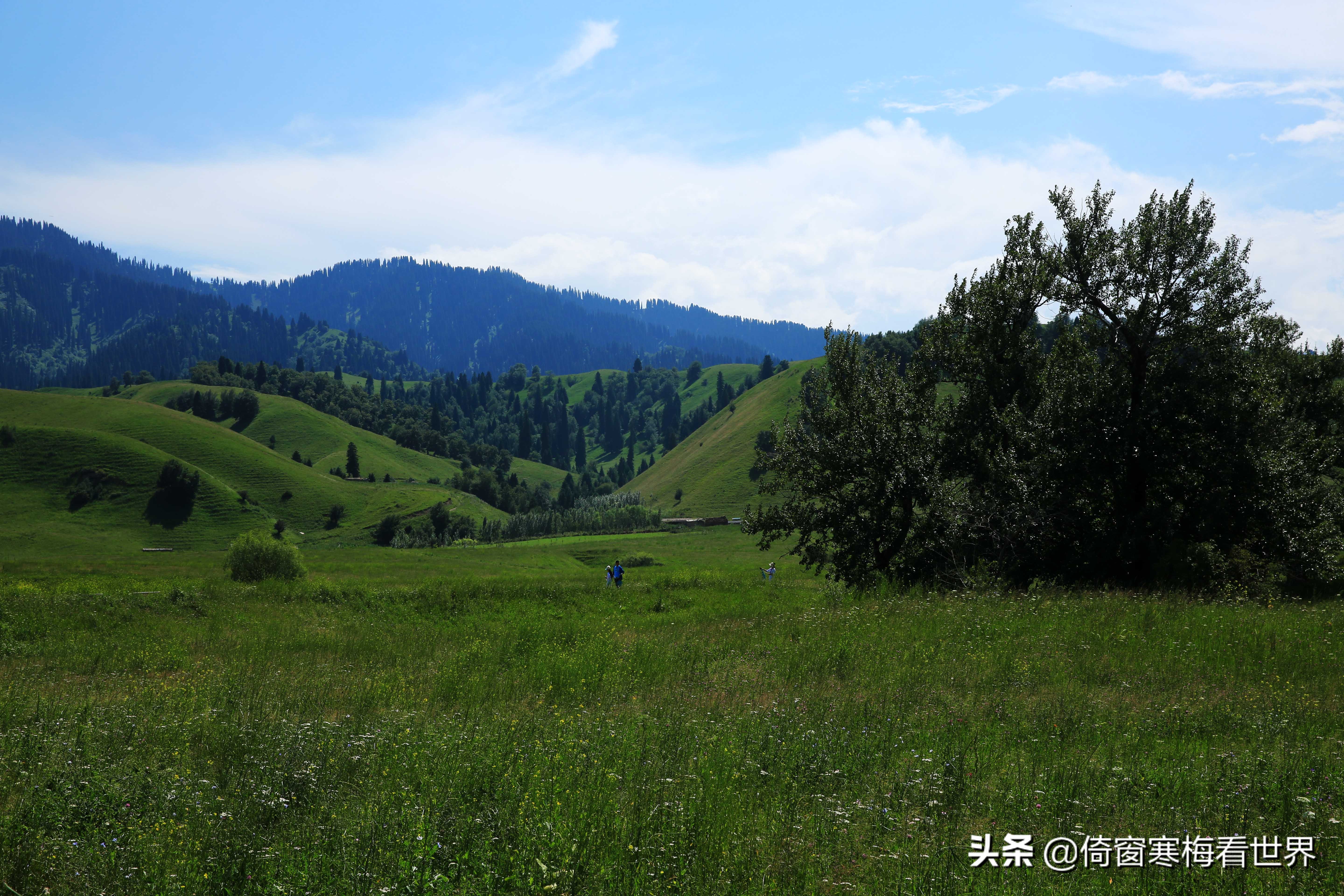 寻访可可托海的牧羊人,可可托海的牧羊人最漫长的那一夜