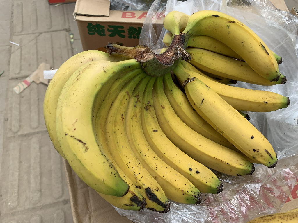 买香蕉买大的好还是小的好,买香蕉时挑直的还是弯的老果农