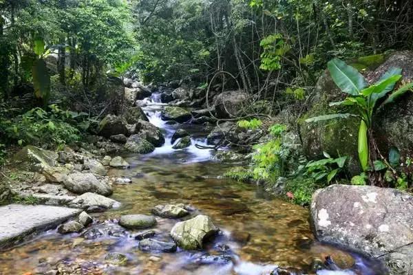 中国天堂般的6大徒步旅游胜地,广州最值得去徒步的山峰