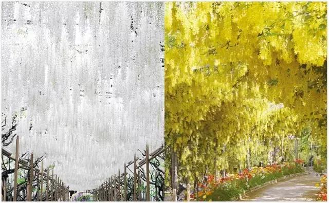 日本景点小众旅游攻略推荐,日本小众旅游景点推荐