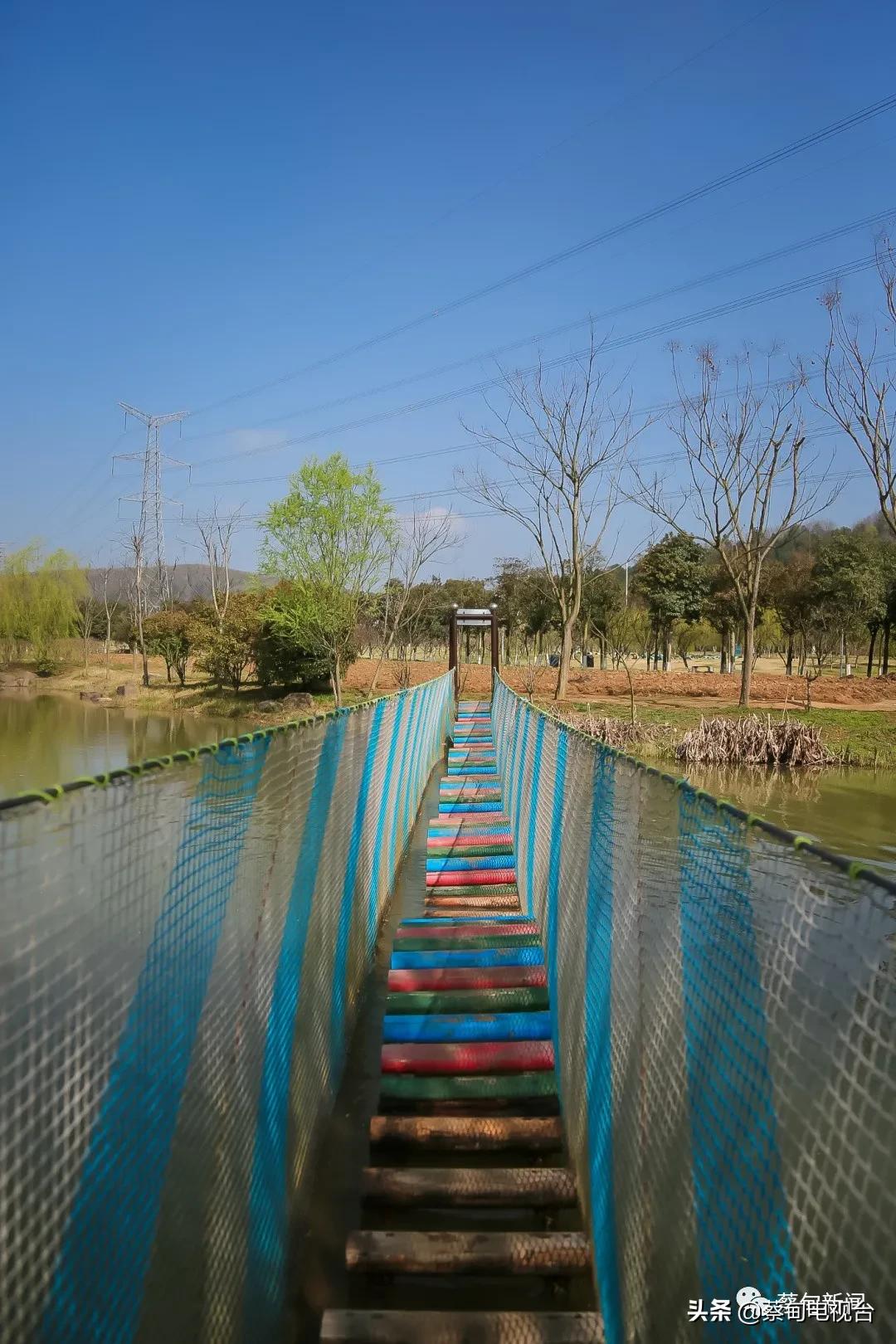 桃之夭夭!来武汉蔡甸世外桃源,许你万株桃花