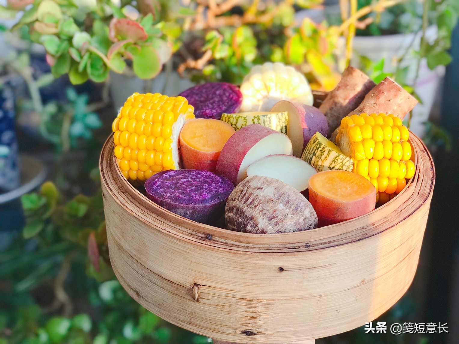 谷雨后五谷丰登,谷雨风调雨顺五谷丰登