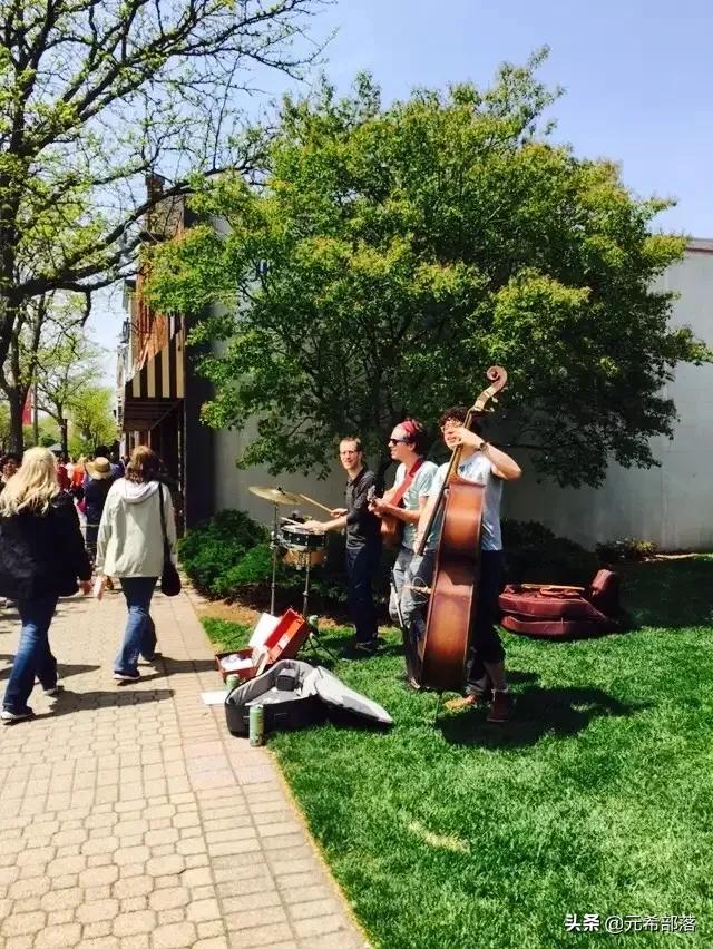 荷兰小镇郁金香盛开,荷兰小镇郁金香花海