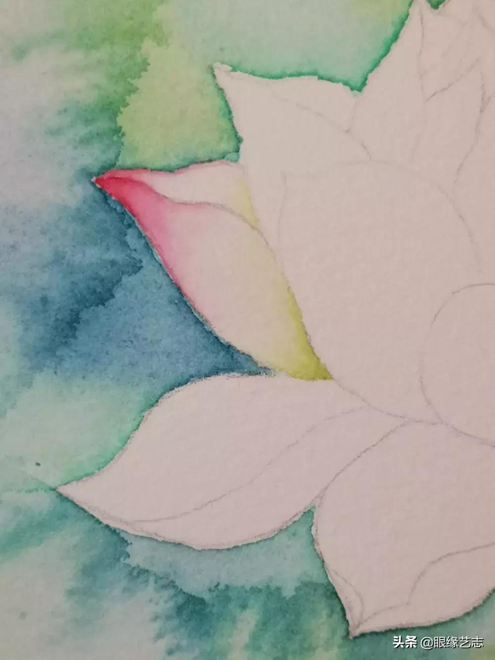 水彩莲花画法教程,白色荷花水彩画法教程