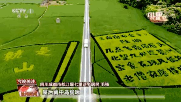 成都网红打卡地最近很火,真正的成都打卡地