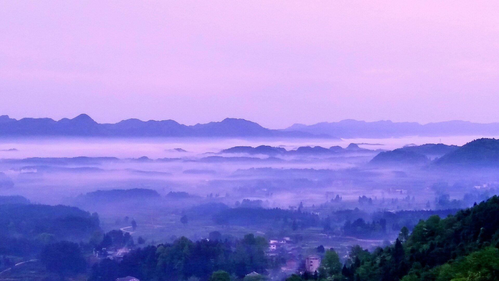 贵州黔南经济学院和科技学院,贵州大学科技学院合并