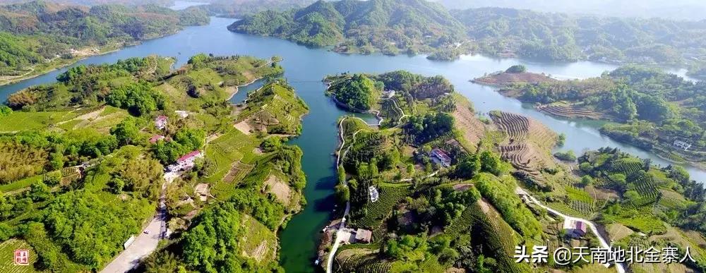 五百里茶谷,五百里茶谷图片