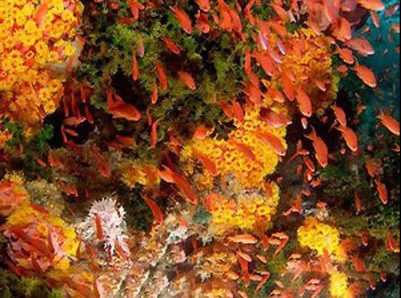 一篇价值100万的文章,这是一篇文章英文