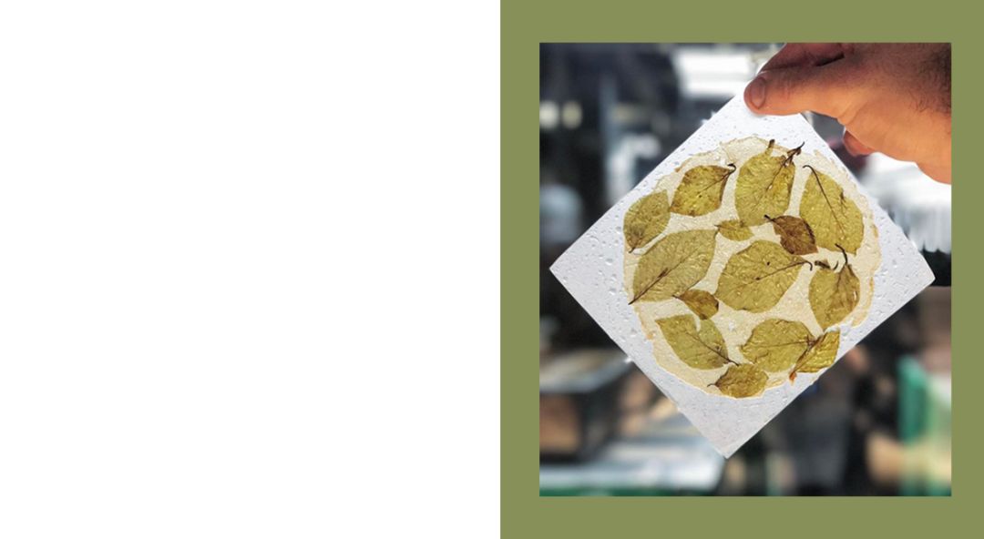 哥本哈根旅行视频,哥本哈根noma餐厅效果图