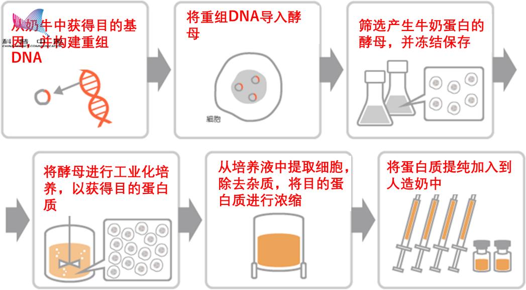 人造肉和人造奶,人造肉会取代传统肉吗
