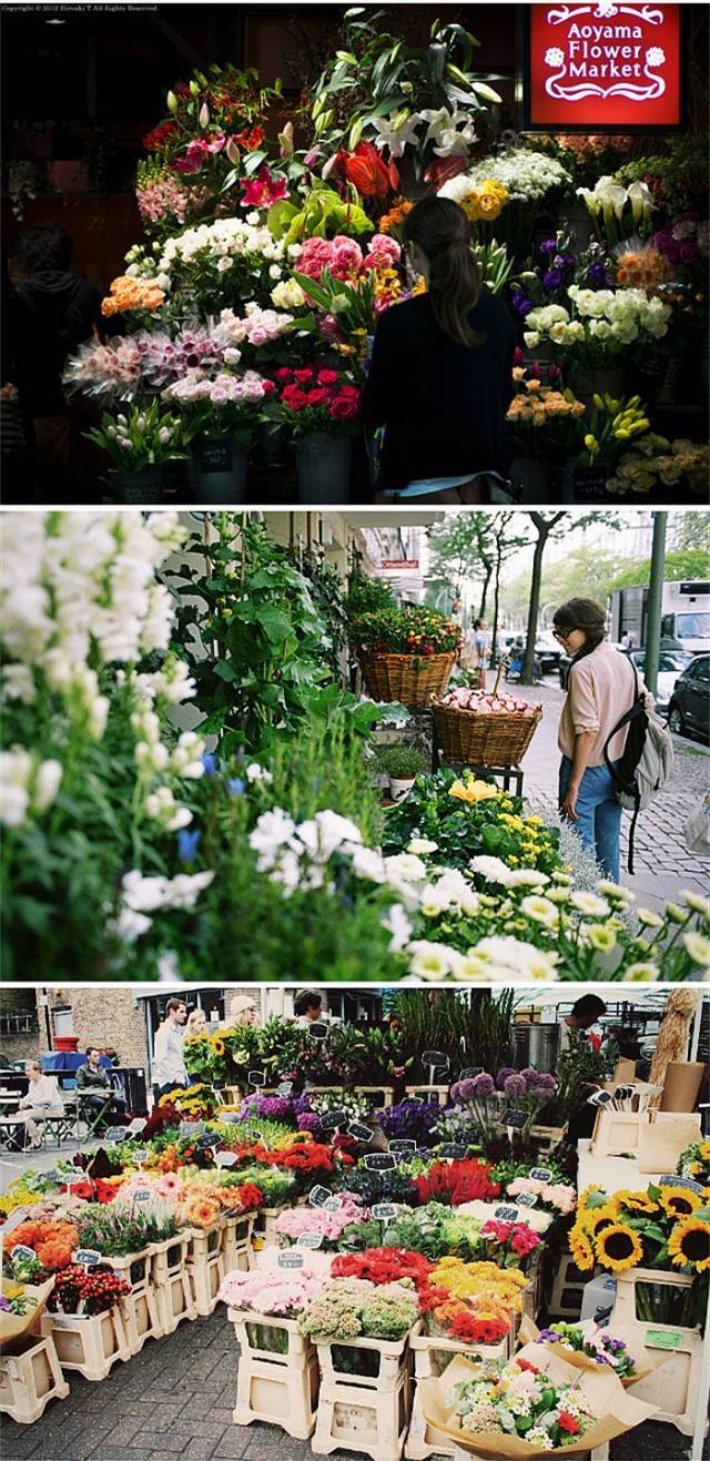 何其幸运开一家属于自己的花店,开了一家属于自己的花店