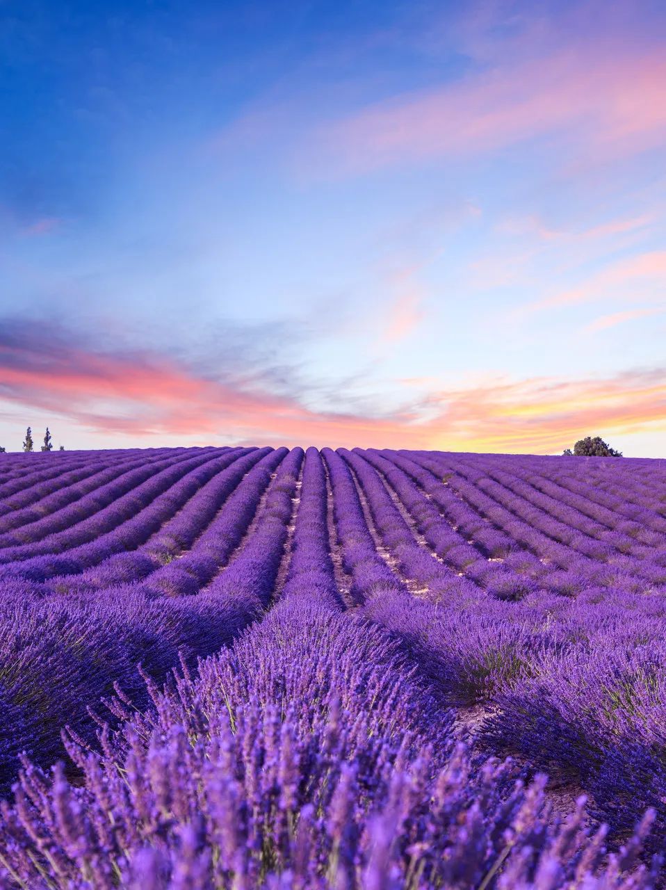 世界上最美的80个地方你到过几个,世界最美的80个地方