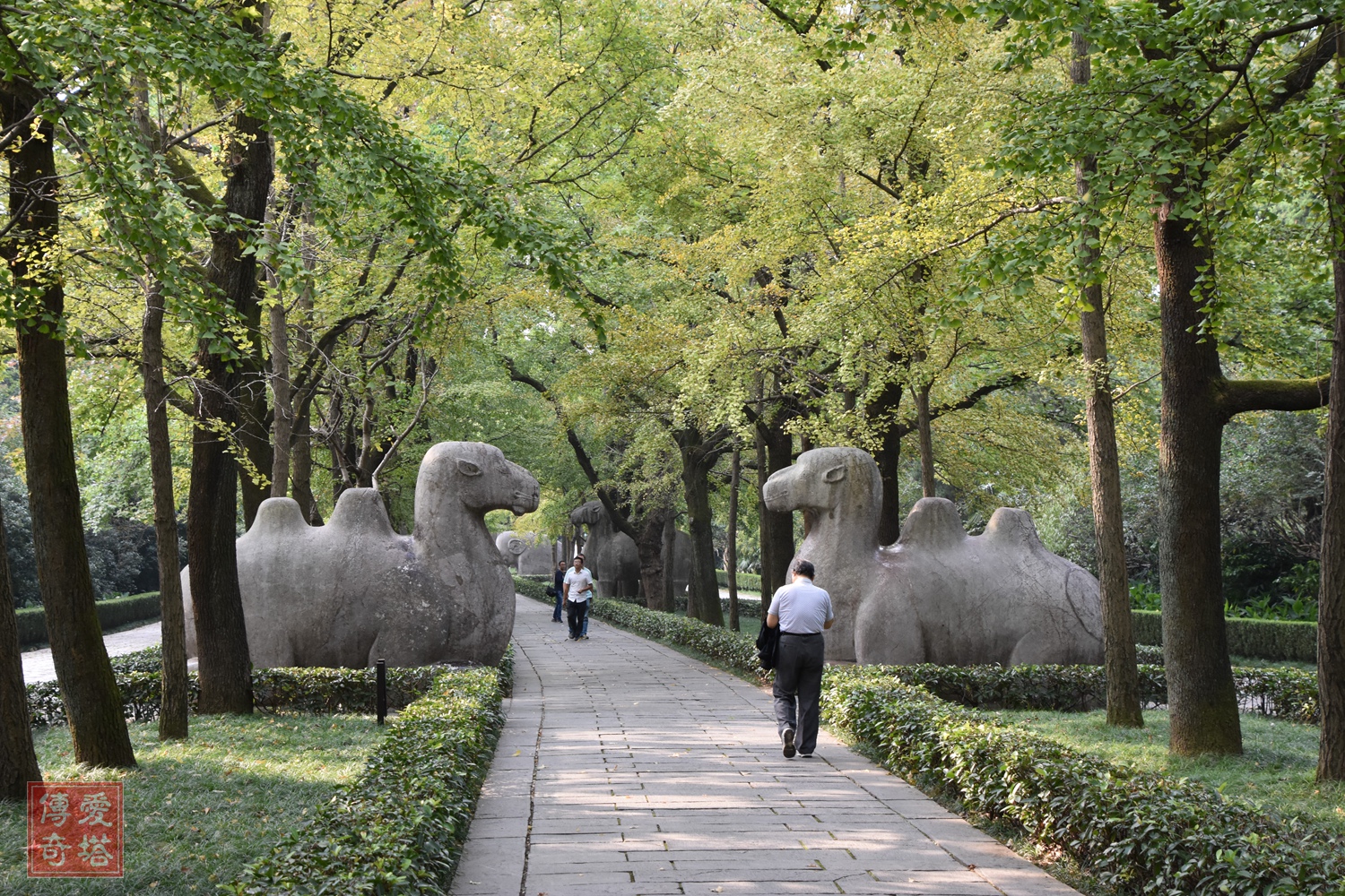 2020年经典电视剧有哪些,2020年将要播出的电视剧有哪些