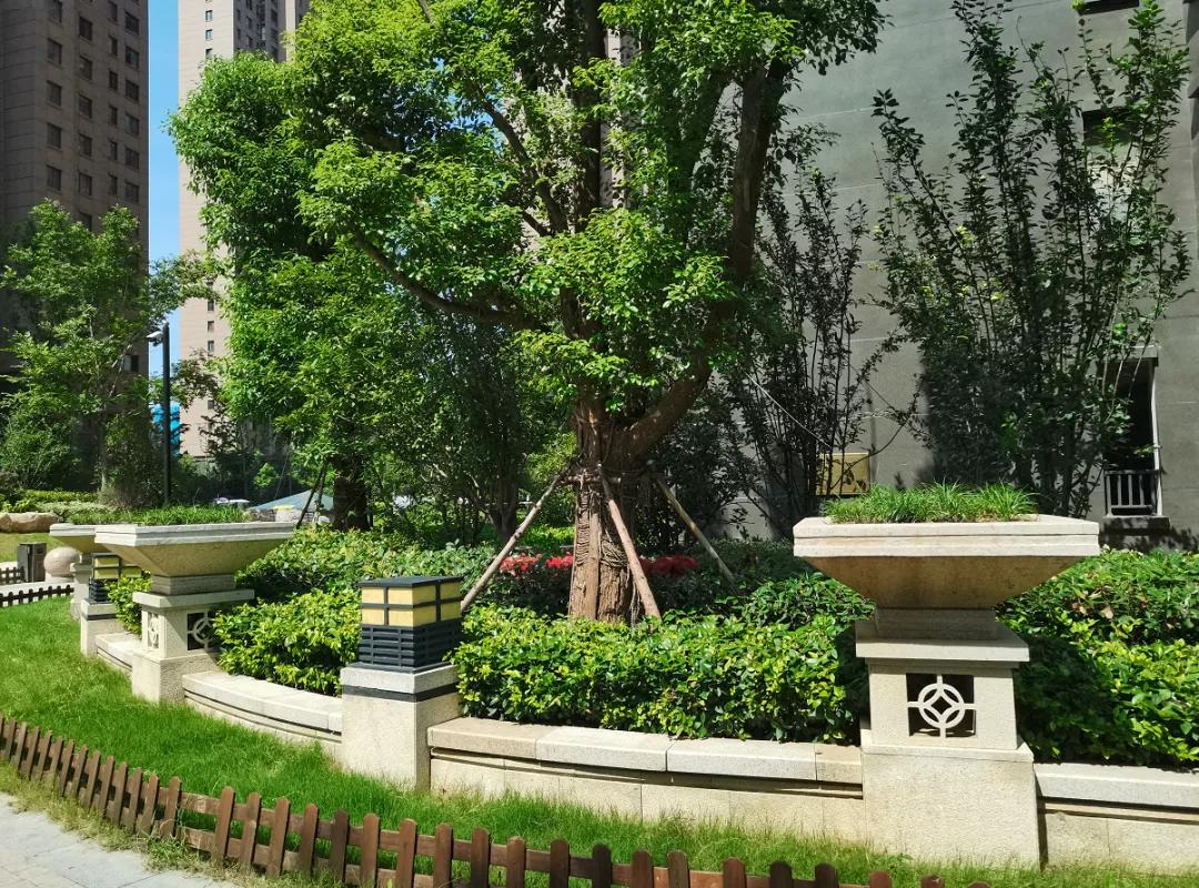 中国十大物业品牌排名,十大最强物业排名