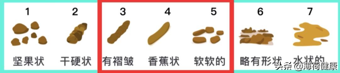 不吃药治便秘,一小时就见效的治便秘方法