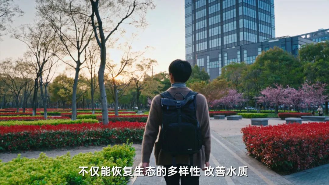 上海五大新城之嘉定,上海五大新城不包括金山吗