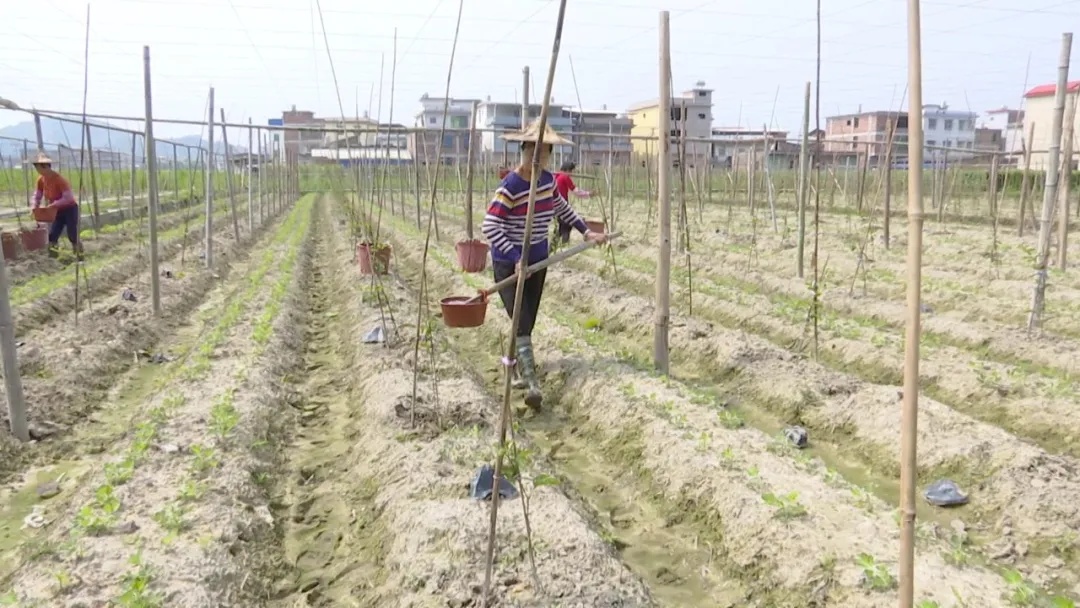 长泰:发展新主张企业逆势而上