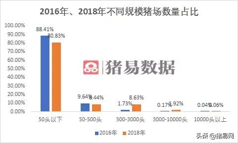 广东养猪业,广东养猪业前景如何