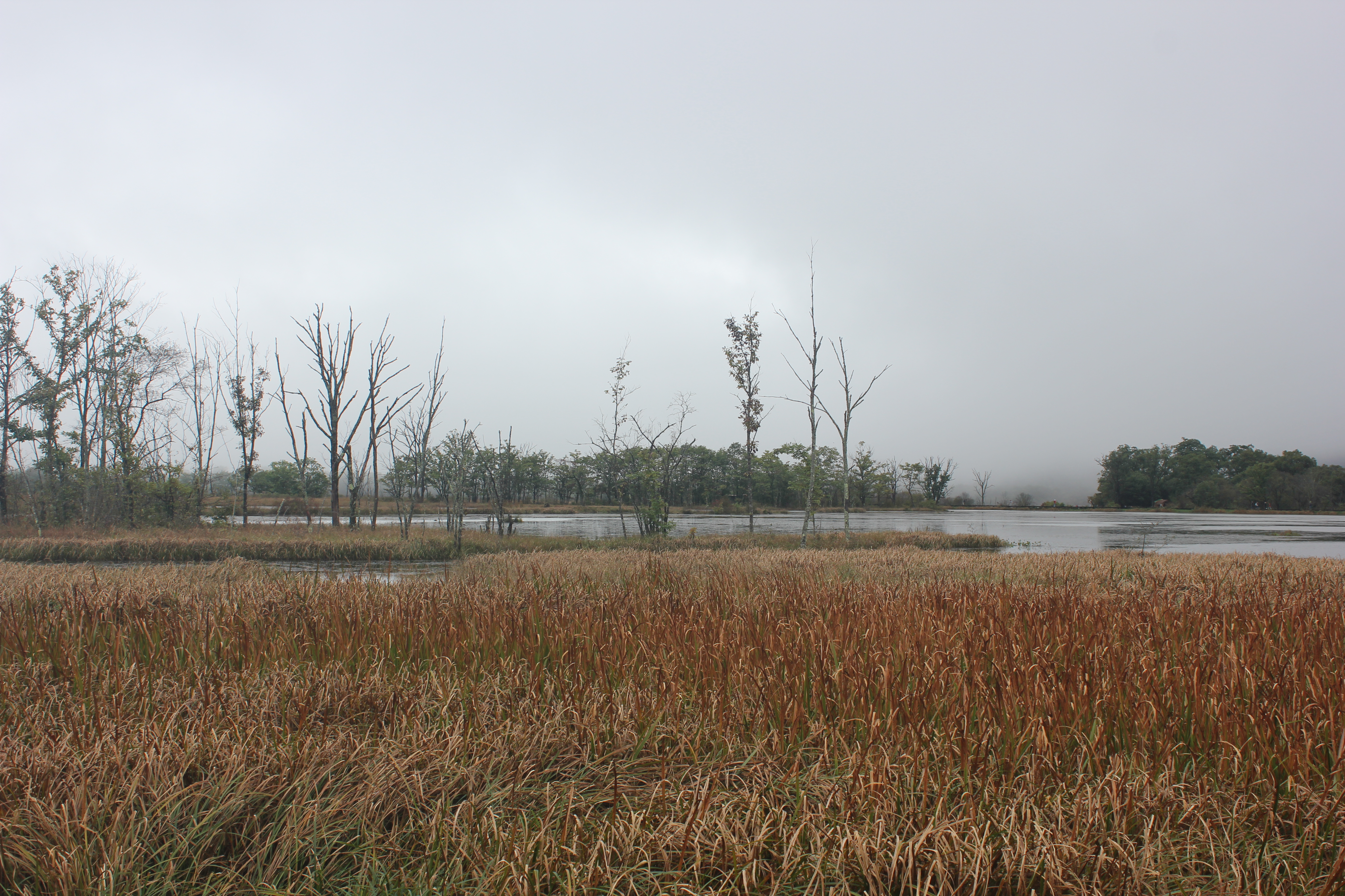 雨中神农架探秘之旅｜国庆节武汉至神农架自驾游攻略分享