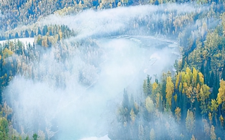 跟着总书记了解内蒙古｜林区工人停伐以后干什么、收入怎么样？