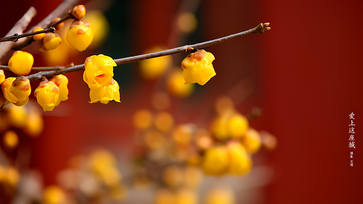 易经经典励志取名,适合起名的易经名句