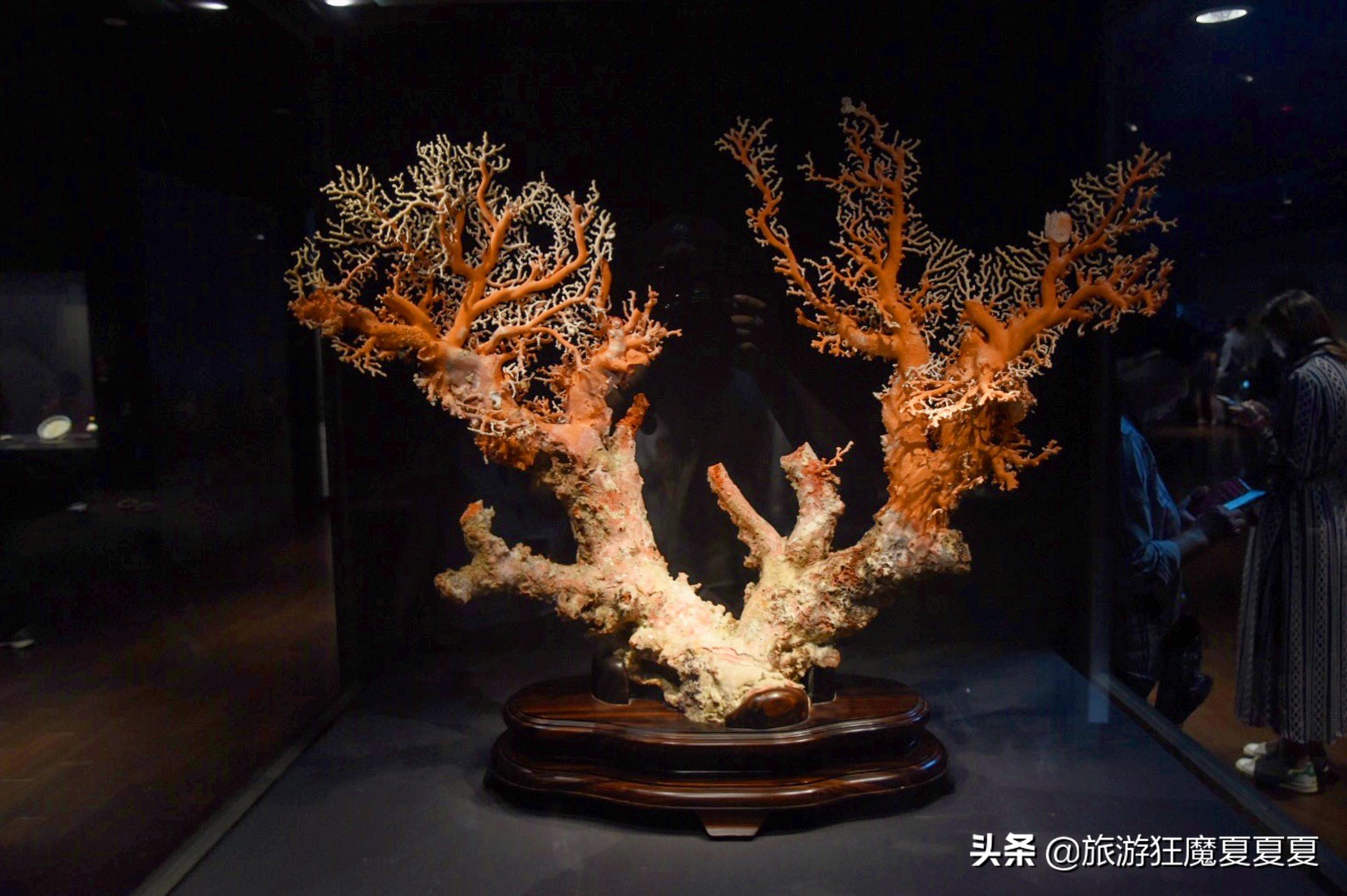 台湾最大博物馆,台湾博物馆十大珍宝