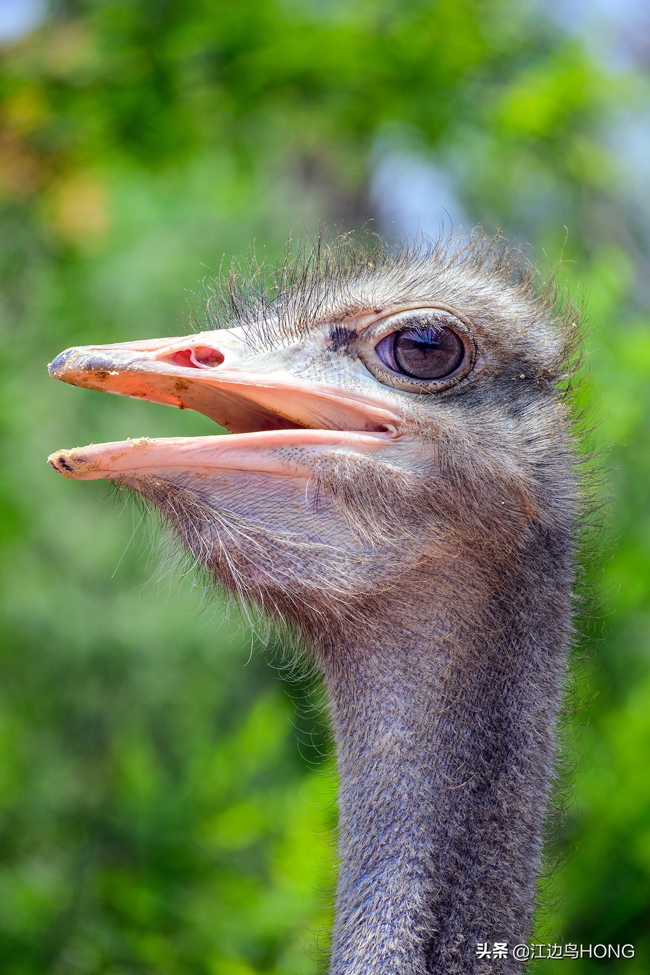 尼康z50双头套机价格,尼康z套机最低价7849