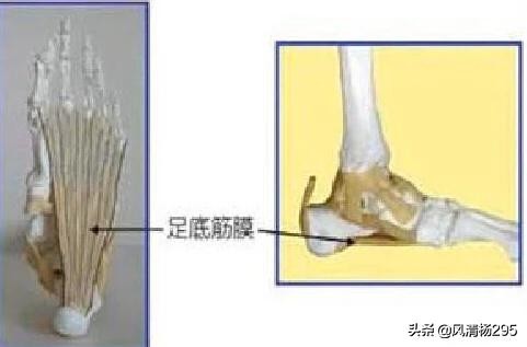 预防足底筋膜炎动作,足底跖筋膜炎症状及治疗