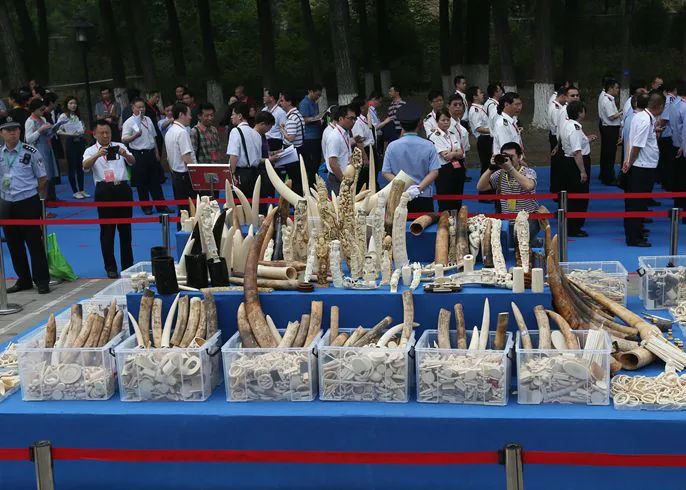 没有买卖就没有杀害带字幕,没有买卖就没有杀害类似的话