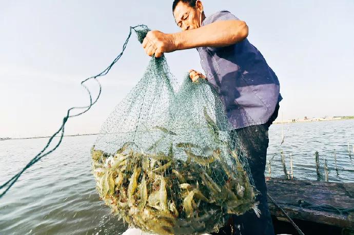 有一种炫富叫辽宁开海,在山东有一种炫富叫开海