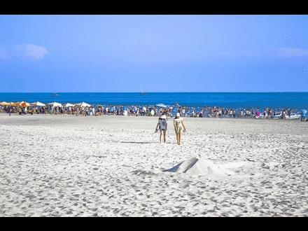 你在北方的寒夜里大雪纷飞,你在大雪纷飞的北方温暖如春