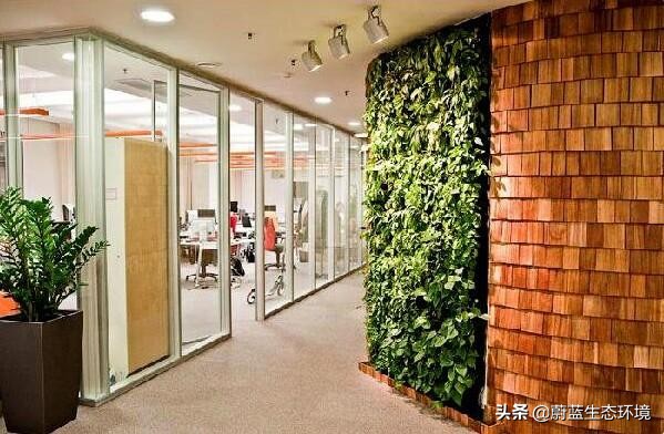 办公室工业风绿色植物装饰效果,办公室室内绿植绿化设计部分展示