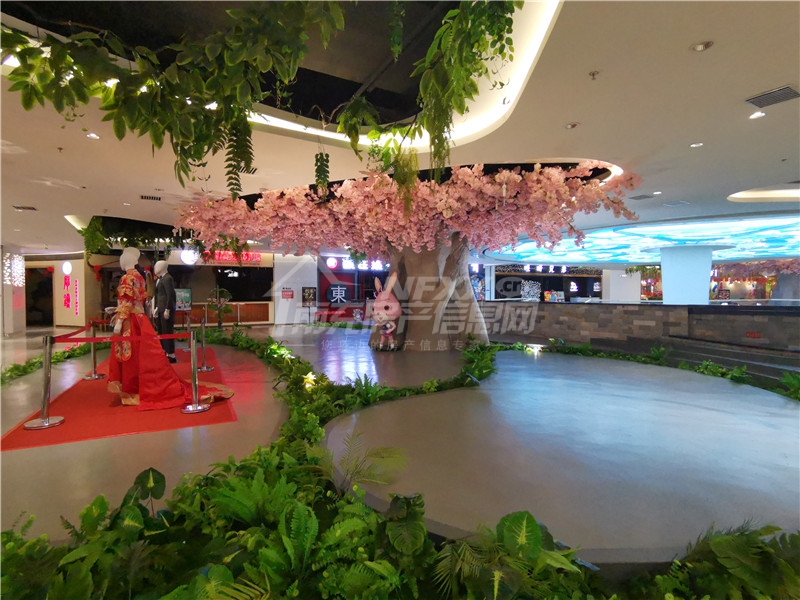 南充真实探店,南充市区有哪些大型商业综合体