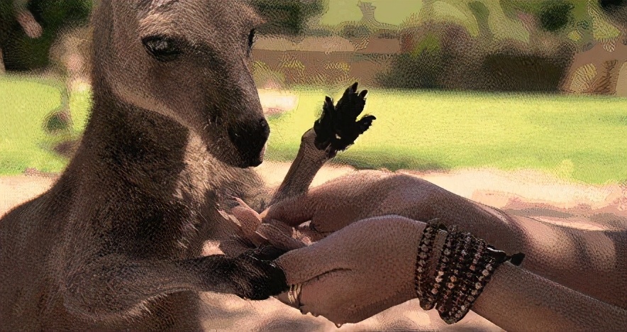 为什么选择海乘这个职业,为什么选择在海上工作