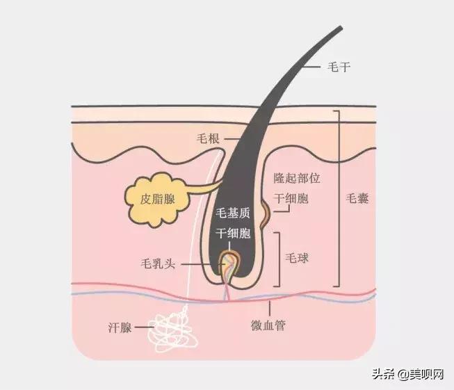 雪莉雀斑妆视频,雪莉伪素颜妆