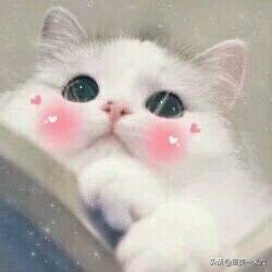 国货最有效果的化妆品,国货化妆品值得买